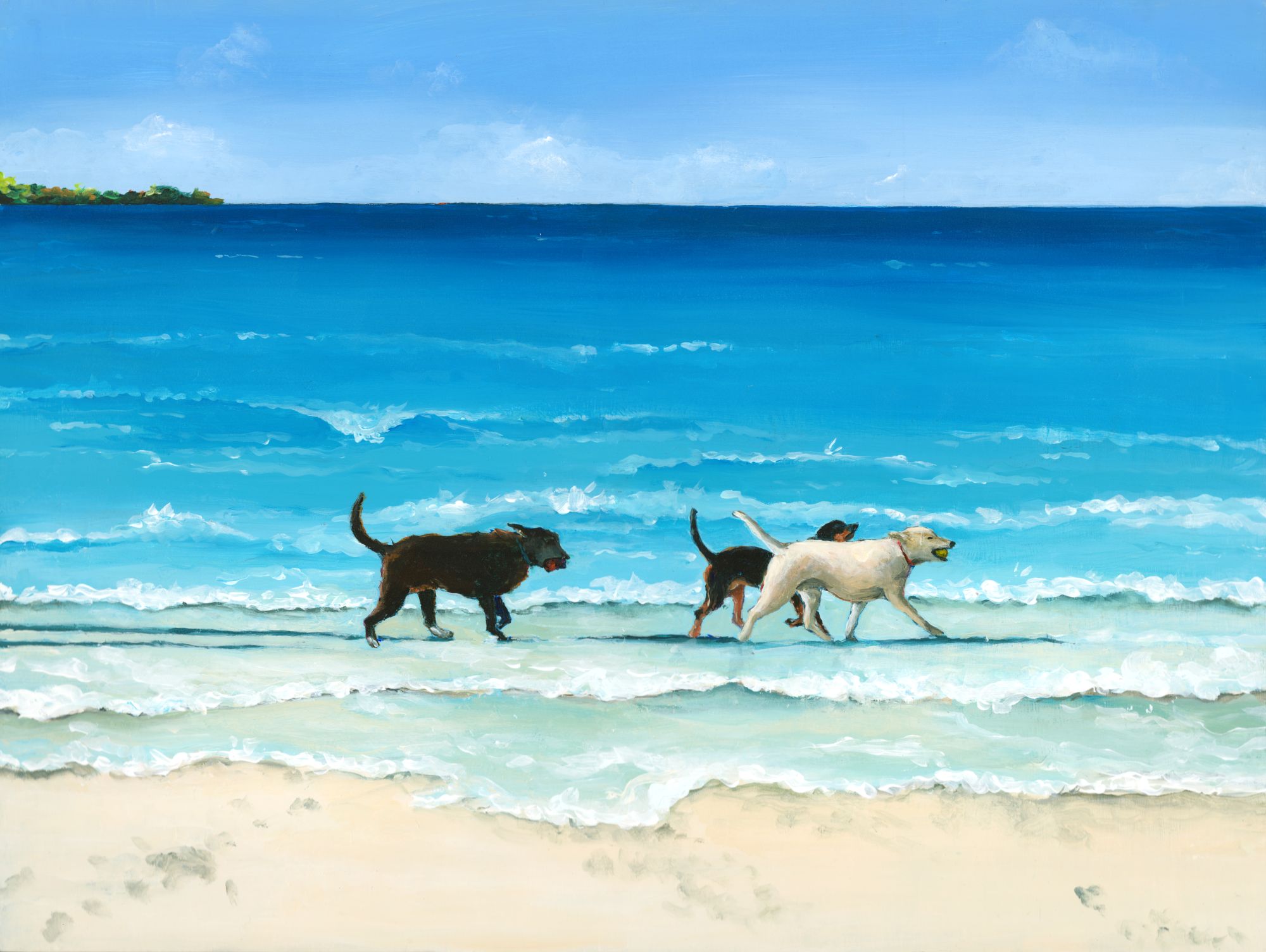 Ruff Waters