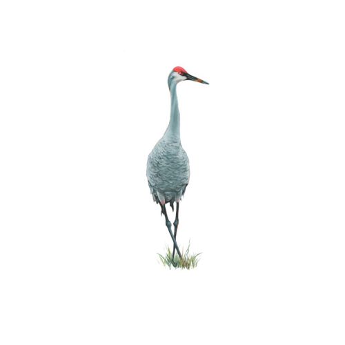 Ethel Giclee Print