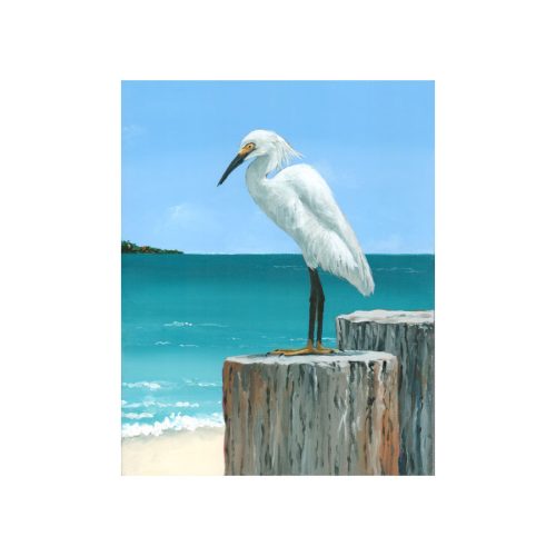 Mary from Cedar Key Giclee Print
