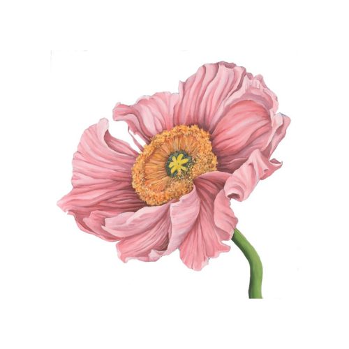 Poppy Love III Giclee Print