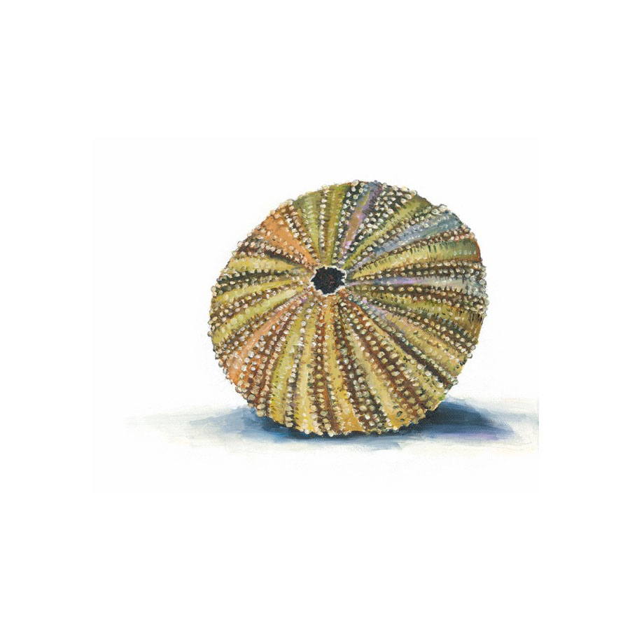 Sea Urchin Giclee Print
