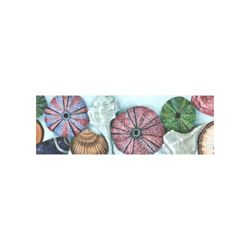She Sells Seashells Giclee Print