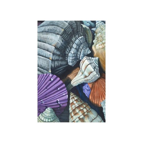Shells For Jamie Giclee Print