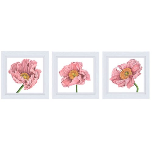 Poppy Love I II III Giclee Print