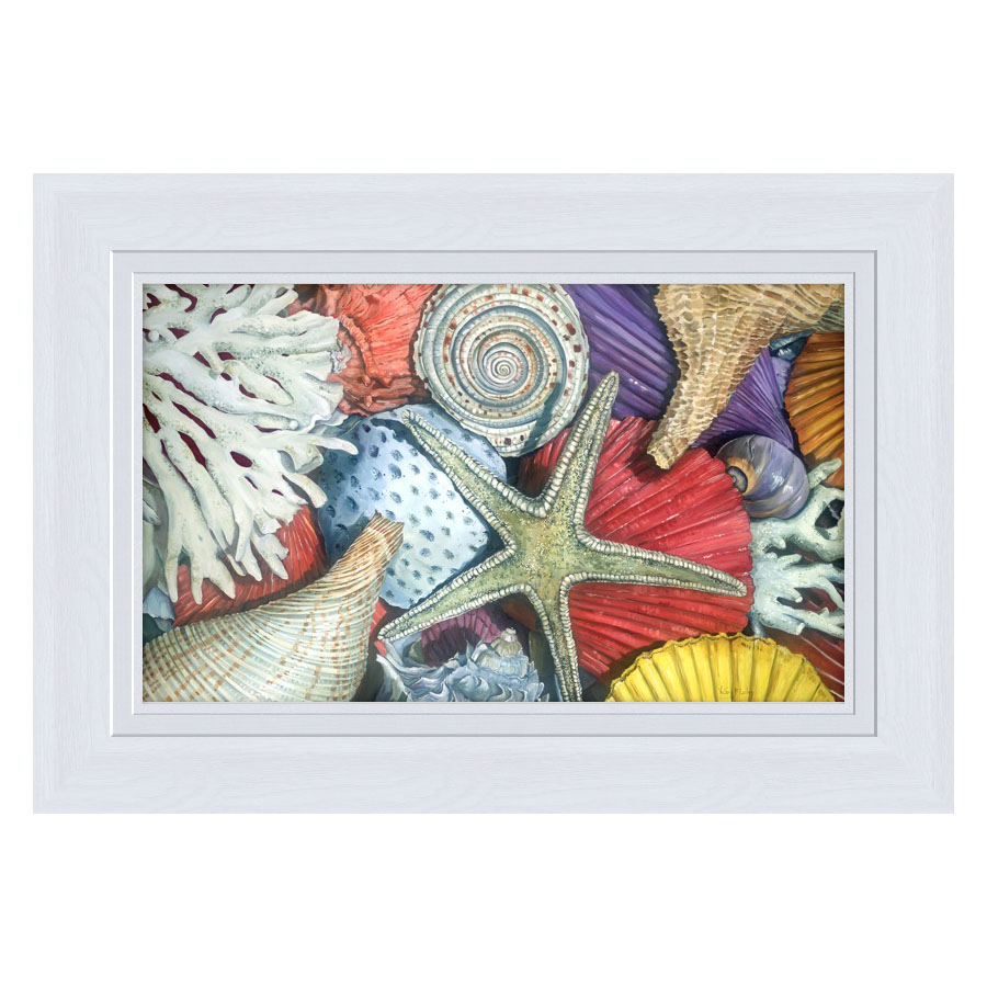 Shell Treasures